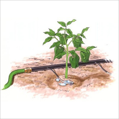 Agriculture Drip Irrigation System