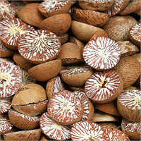 Whole Dried Betel Nut - Brown, Dried Style | Hygienically Packed, Quality Tested, Various Packaging Options Available