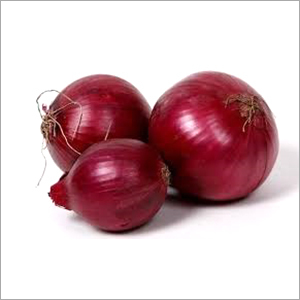 Indian Onion