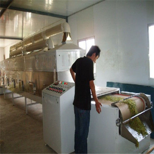 Stevia Leaf Drying Sterilization Machine Chamber Thickness: 1.5 Millimeter (Mm)