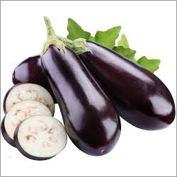 Eggplant - Common Cultivation, Preserved Vegetable Type | Ideal for Culinary Uses, Enhances Flavor in Dishes, Versatile Ingredient