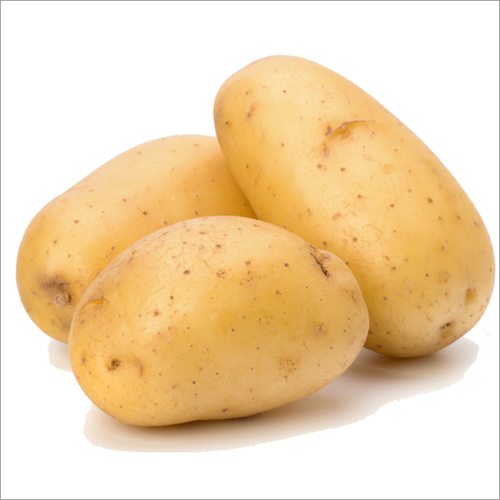 Organic Potato - Holland Red Potato Variety | Preserved Vegetable, Common Cultivation Type, Perfect for Culinary Applications
