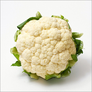 White Cauliflower - Common Cultivation, Preserved Vegetable for Healthy Diets and Delicious Recipes