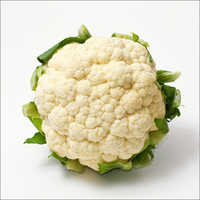 White Cauliflower - Common Cultivation, Preserved Vegetable For Healthy Diets And Delicious Recipes