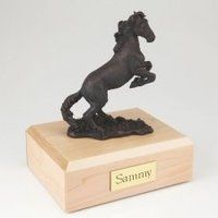 Bronze Medium Horse Cremation Urn