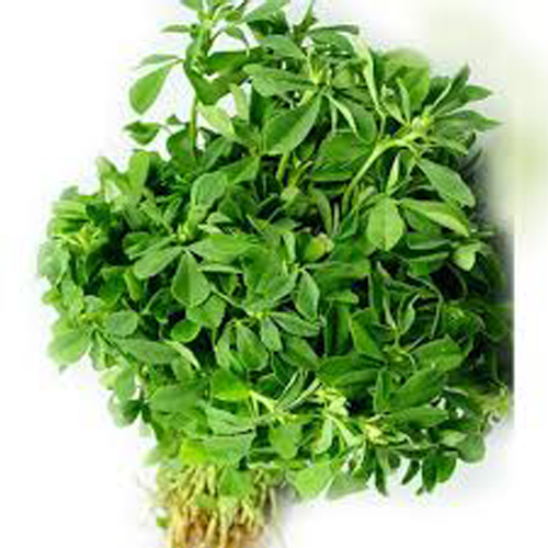 Green Methi
