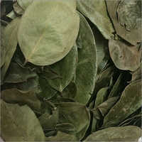 Banaba Leaf Extract - 1-20% Corosolic Acid | Green Lagerstroemia Speciosa Leaves, Sun Dried, Bulk Packaging