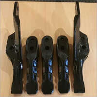 Crocodile Tooth Set