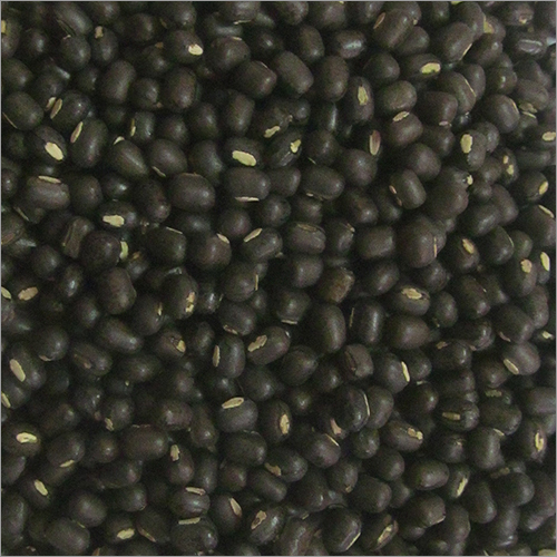 Whole Urad Dal