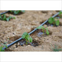 Micro Irrigation HDPE Pipe