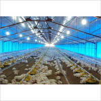 Poultry Roof Insulation
