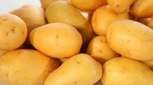 Fresh Potato - Organic Solid Form | Fresh Texture, Bulk Delivery