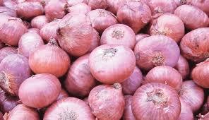 Organic Red Onions - Fresh, Large Size | High in Folic Acid and Fiber, Ideal for Salads and Curries, Rich in Anti-Inflammatory Compounds