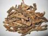 Picrorrhiza kurroa Dry Extract