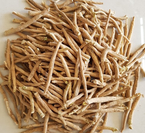 Withania somnifera Roots
