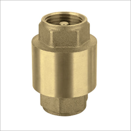 Vertical Check Valve