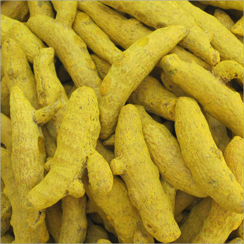 Raw Turmeric Finger
