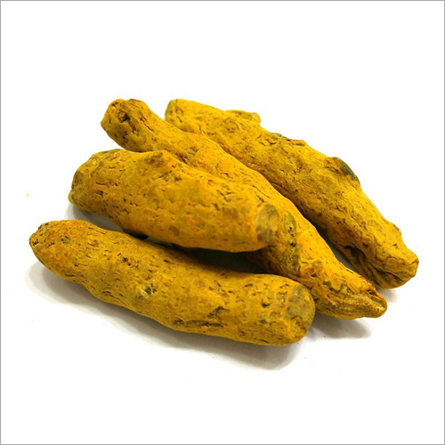 Dried Turmeric Finger