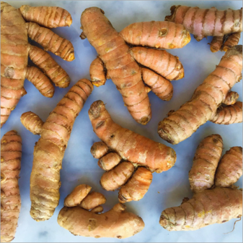 Organic Turmeric Finger