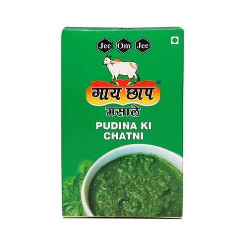 Fresh Pudina Ki Chatni