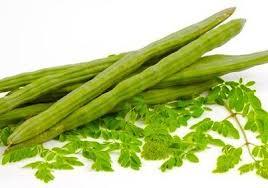Moringa / Drumsticks