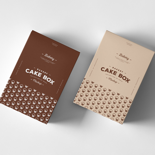 Disposable Cake Box