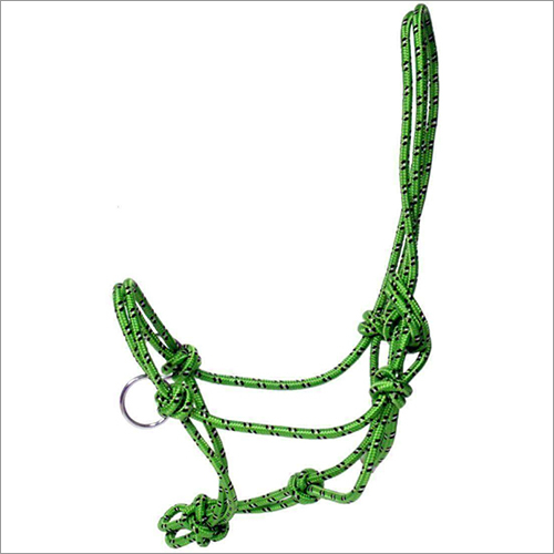 Green Halter And Lead Rope