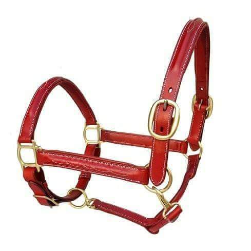 Brown English Halter