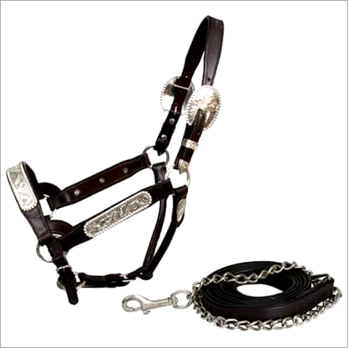 Western Halter - Leather Material, Waterproof Feature | Black Color for Horse Riding Use