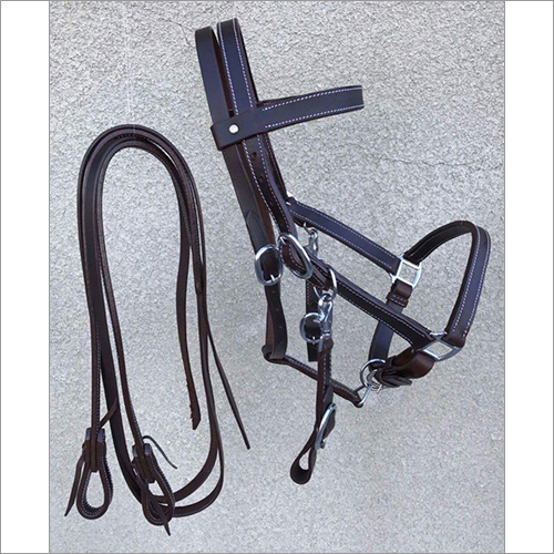Black Western Halter