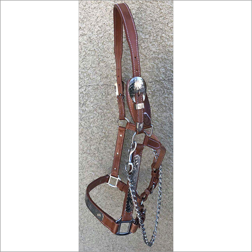 Brown Western Halter