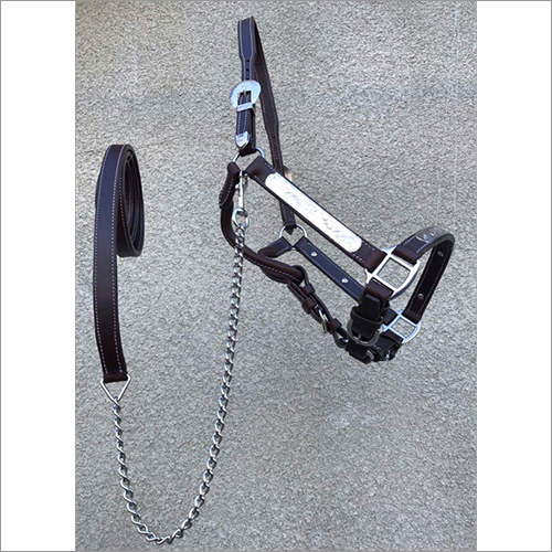 Western Halter - Leather Material, Waterproof Design | Black Color for Ultimate Horse Riding Comfort