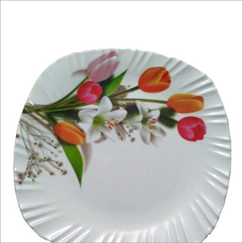 Crockery Plate