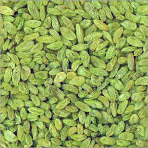 Green Raisins - Soft Date Variety, Mature Dried Fruit with Natural Sweetness and Rich Flavor