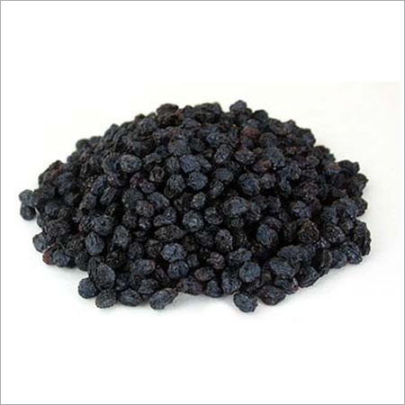 Dried Black Currant - Soft Date Variety, Fully Matured and Naturally Sweetened Dried Fruit