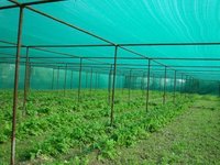 Agro Shade Net - Polythene(pe), Standard Size, Green | Soft Shade Net With Uv Stabilizers For Crop Protection And Agriculture Applications