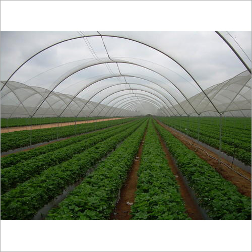 Naturally Ventilated Greenhouse