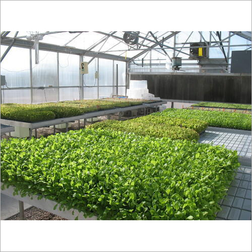 Green House
