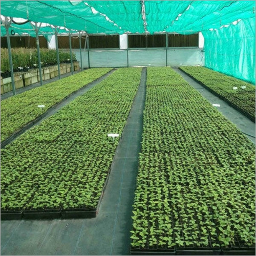 Eco Friendly Agriculture Greenhouse