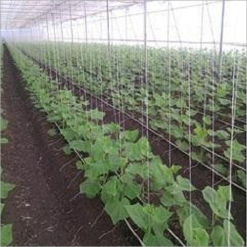 Plant Supporting Rope