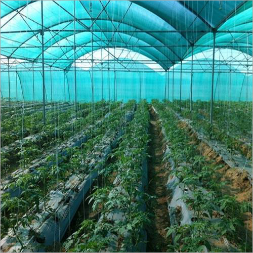 Greenhouse Film