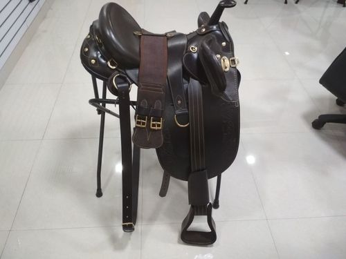 Stock Saddle Application: Horse Riding