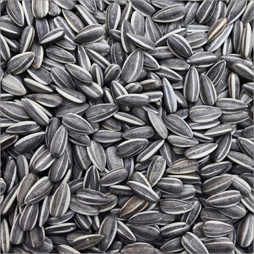 Sunflower Seeds Sunflower Seeds