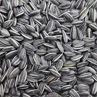 Sunflower Seeds