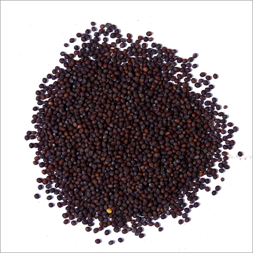 Black Mustard Seeds