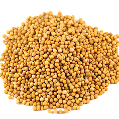 Yellow Mustard Seeds