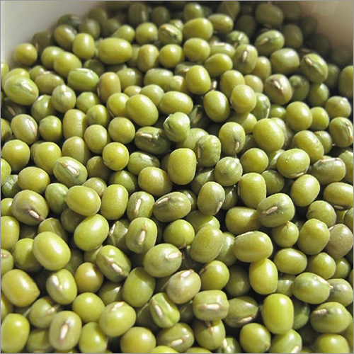 Green Mung Beans
