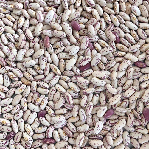 Light Speckled Kidney Beans Light Speckled Kidney Beans