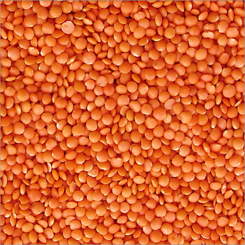 Red Lentils