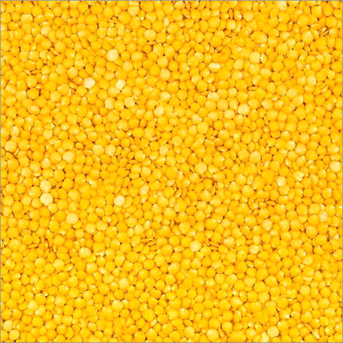 Yellow Lentils Yellow Lentils